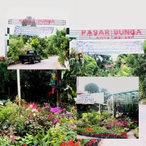 pasar-bunga